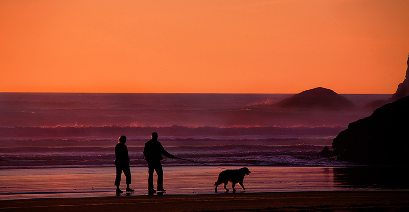 A photo of two people walking a dog on the beach during sunset. The photo contains shades of black and orange.