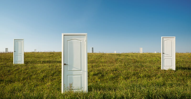 A photo of an open field with many white doors to signify choices.