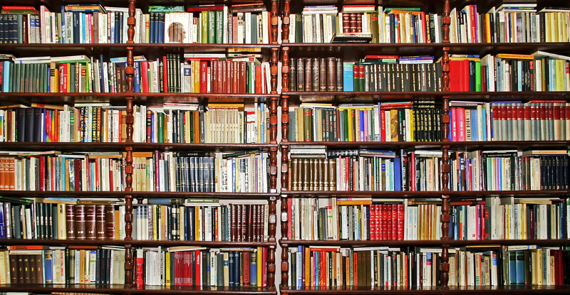 A photo of shelves with library.